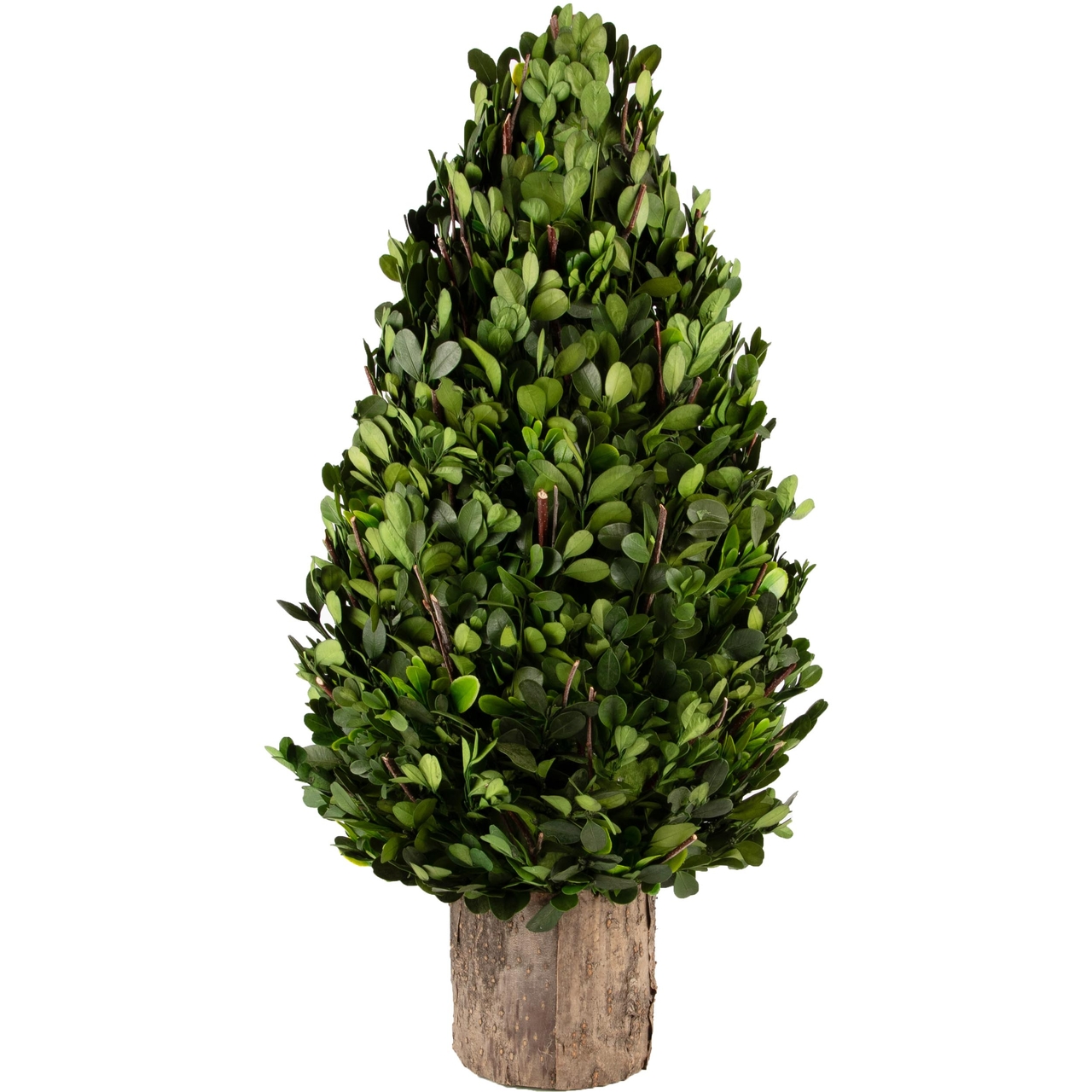 Dekoratief | PlantenKegel vorm op voet, groen/naturel, PVC, 25x25x52cm | A240966