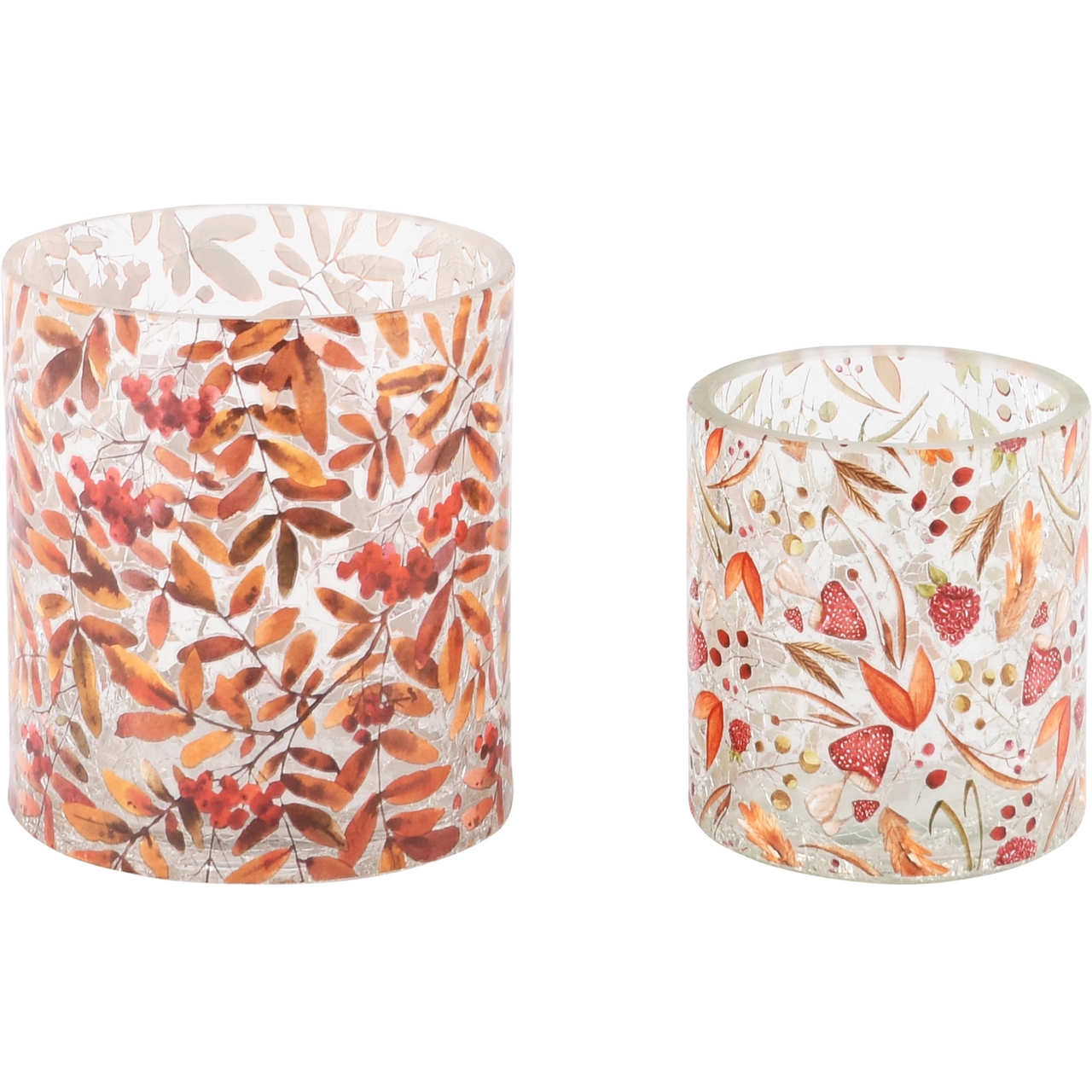 Dekoratief | Set 2 theelichthouders 'Autumn Moments', glas, 9x9x10cm | A245072