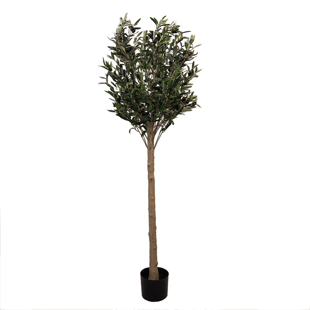 Clayre & Eef | Decoratie boom Groen 50x50x165 cm | 5PL0148