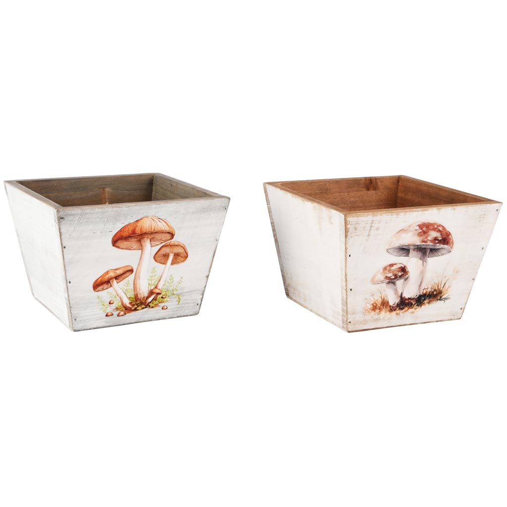 Dekoratief | Bakje m/paddenstoelen, naturel/wit, hout, 15x15x11cm, set van 2 stuks | A255956
