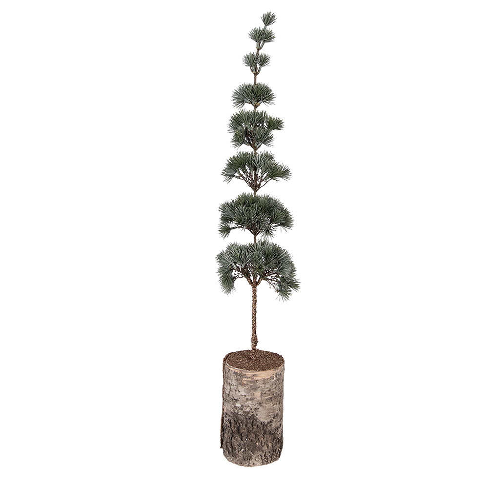 Clayre & Eef | Decoratie Boom Groen Bruin 15x12x80 cm | 50842