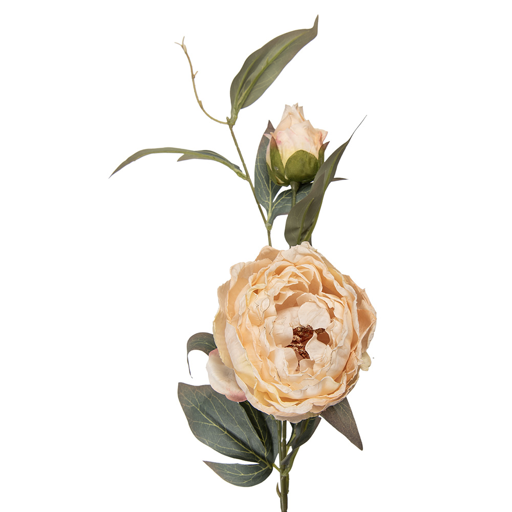 Clayre & Eef | Decoratie tak met bloemen Beige Groen 14x14x83 cm | 5PL0246BE