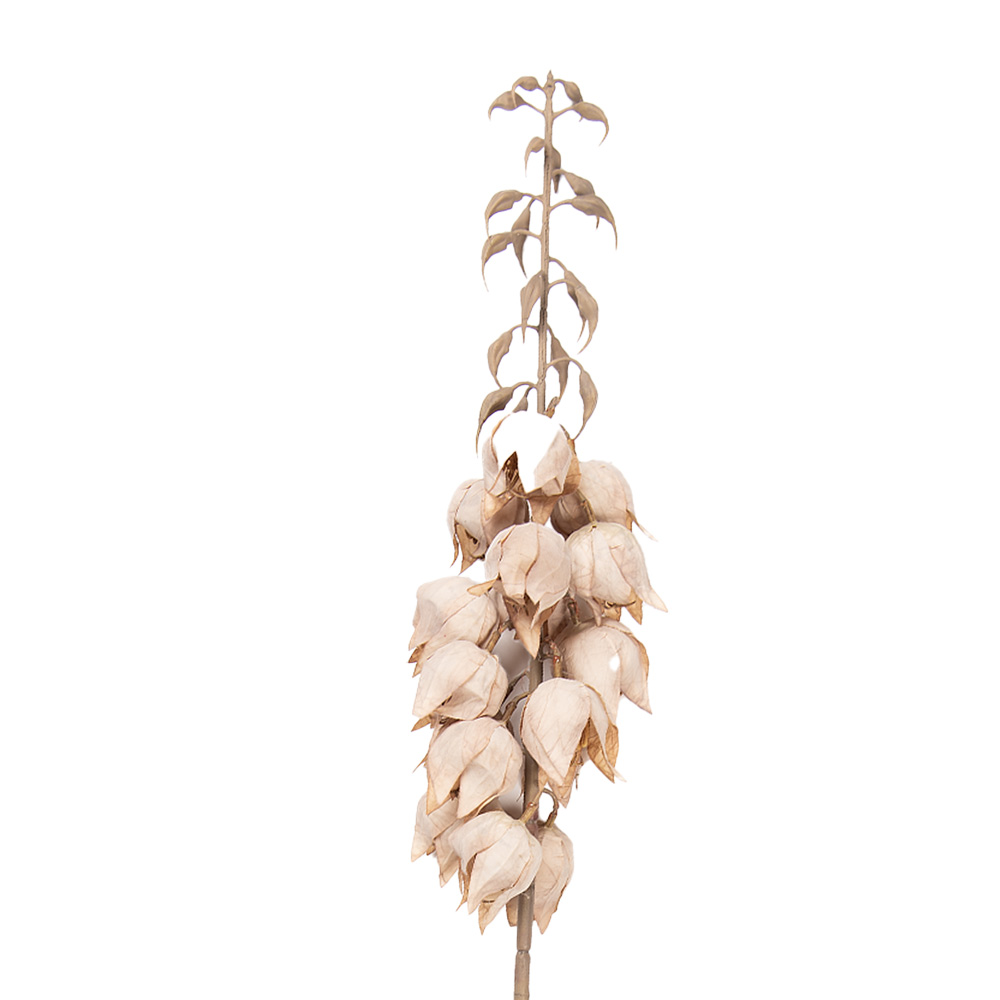 Clayre & Eef | Decoratie tak met bloemen Beige Bruin 12x12x100 cm | 5PL0257BE