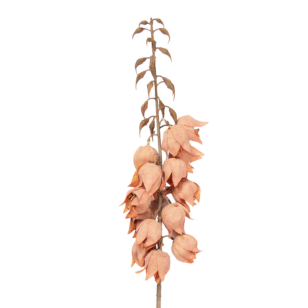 Clayre & Eef | Decoratie tak met bloemen Oranje Bruin 12x12x100 cm | 5PL0257P