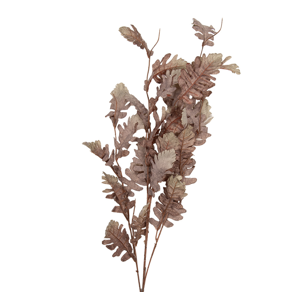 Clayre & Eef | Decoratie Tak Beige Bruin 10x15x108 cm | 5PL0260BE