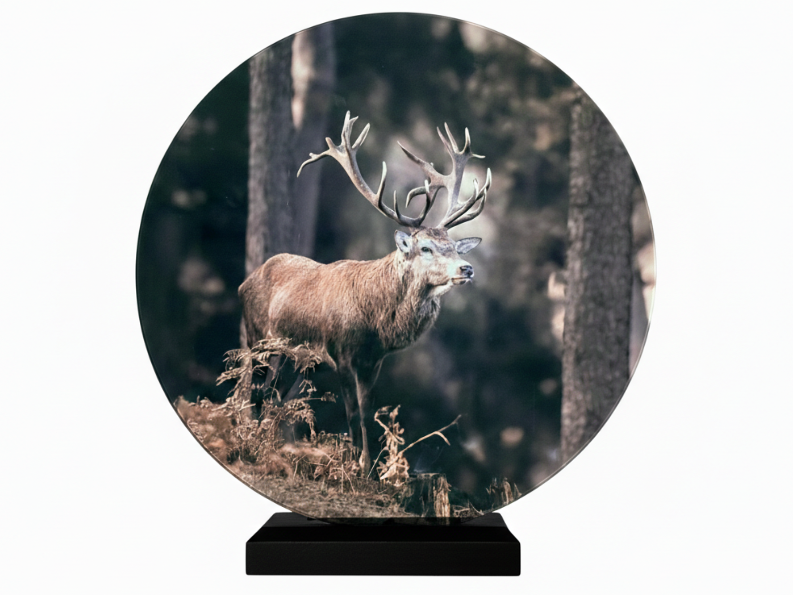 Glasschilderij ree rendier hang of staand met standaard ⌀ 30 cm | 713753 | Home Sweet Home