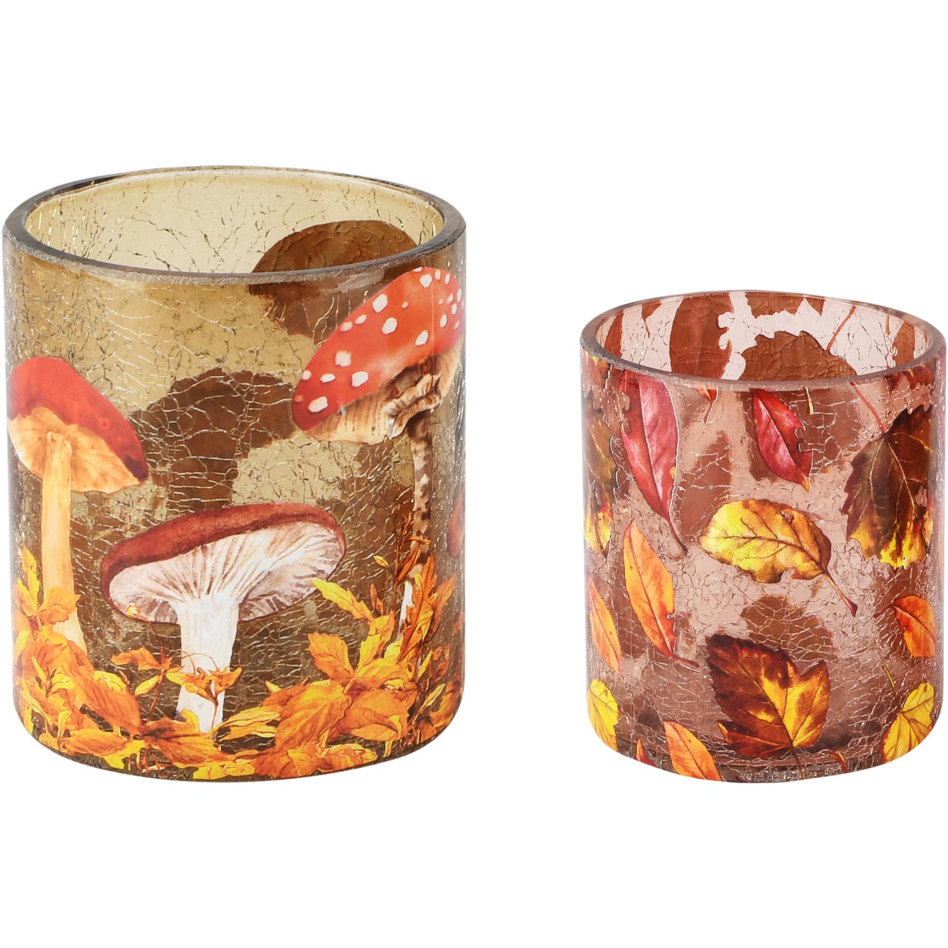 Dekoratief | Set 2 theelichthouders 'Autumn Harvest', glas, 9x9x10cm | A265798