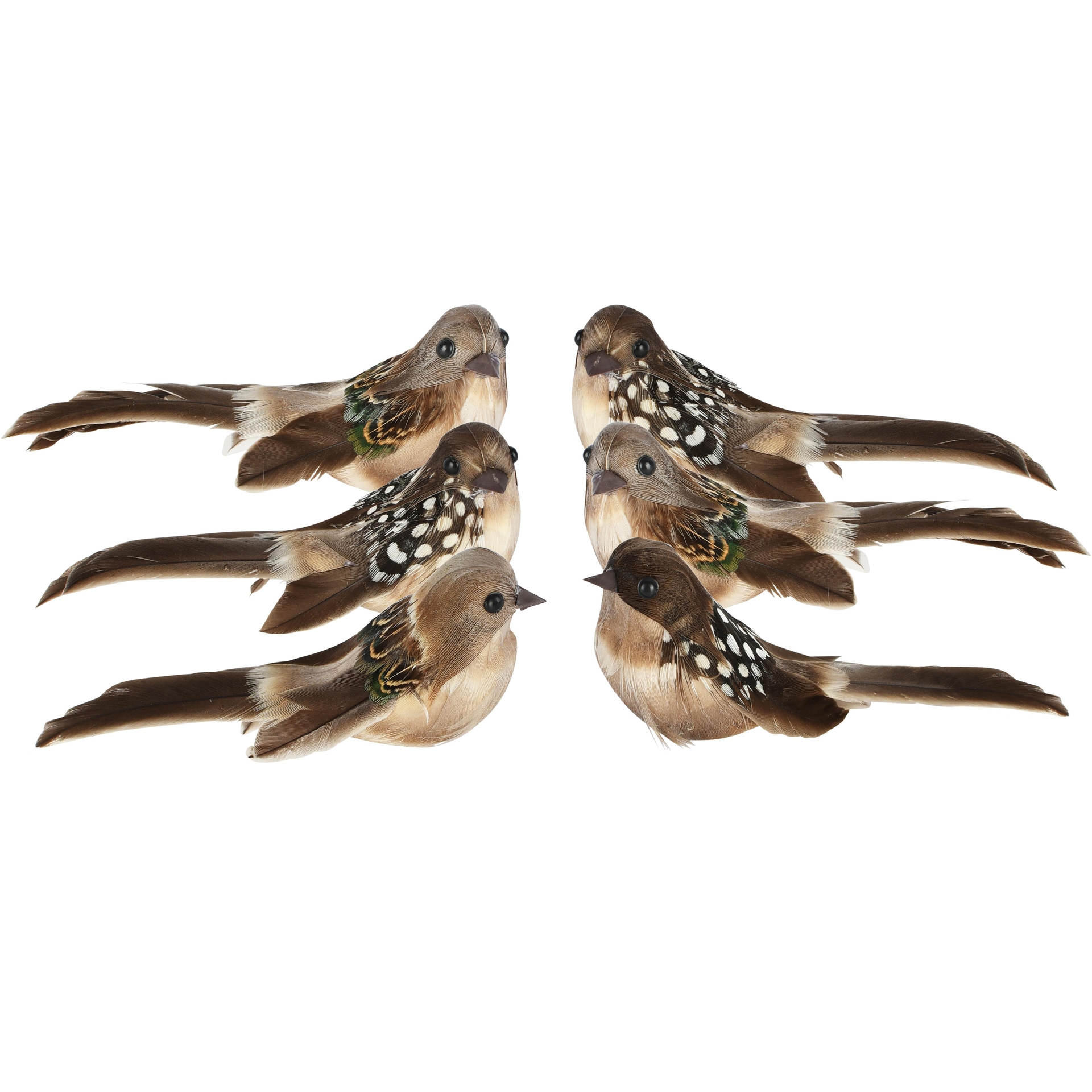 Dekoratief | Vogeltje op clip, bruin, 11x6x6cm, set van 2 stuks | A265568
