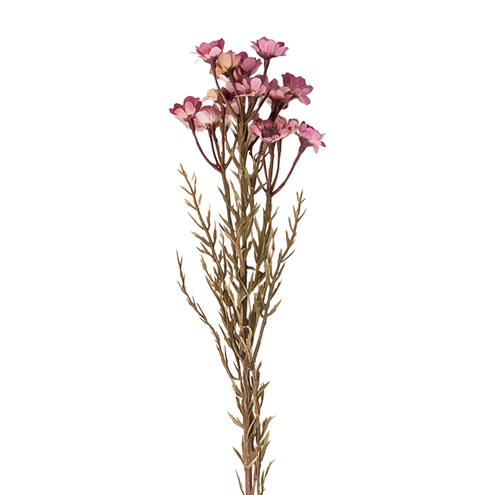 Clayre & Eef | Decoratie tak met bloemen Roze 77 cm | 5PL0290P