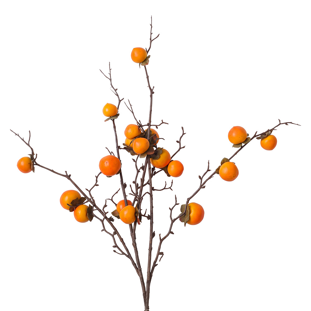 Clayre & Eef | Decoratie tak Oranje 105 cm | 5PL0336