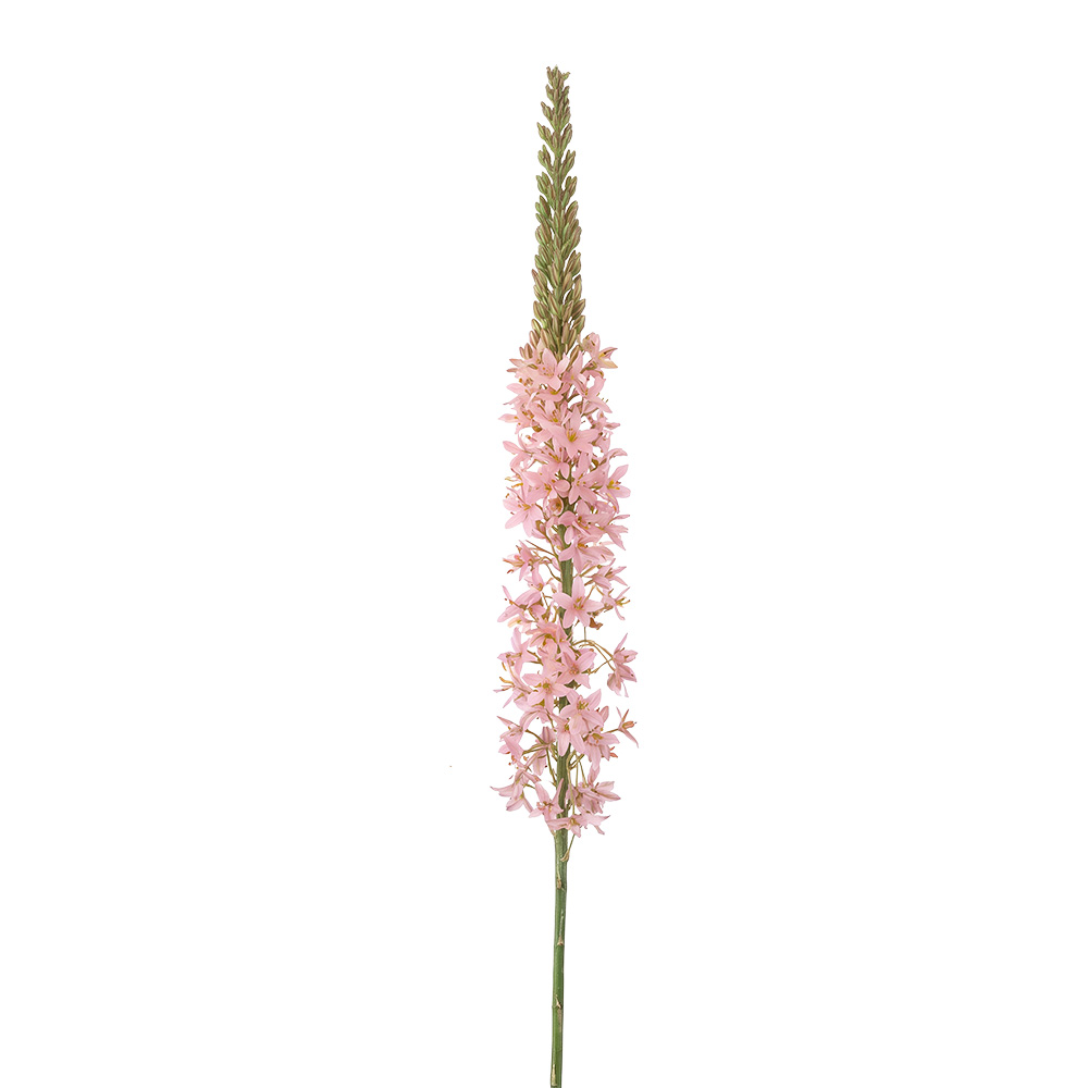Clayre & Eef | Decoratie tak met bloemen Roze Groen | 5PL0381LP