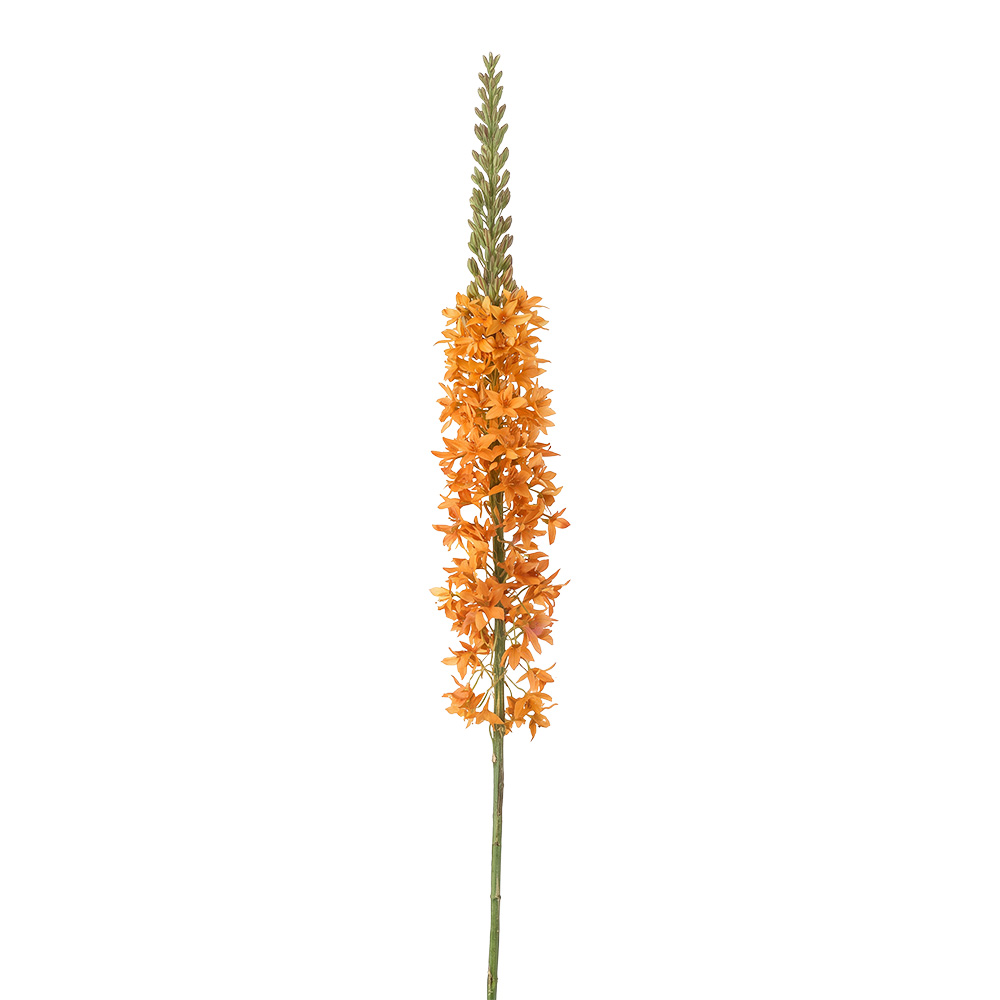 Clayre & Eef | Decoratie tak met bloemen Oranje Groen | 5PL0381O