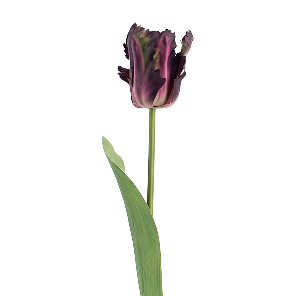 Clayre & Eef | Decoratie tak met bloemen Paars Groen 61 cm | 5PL0385A