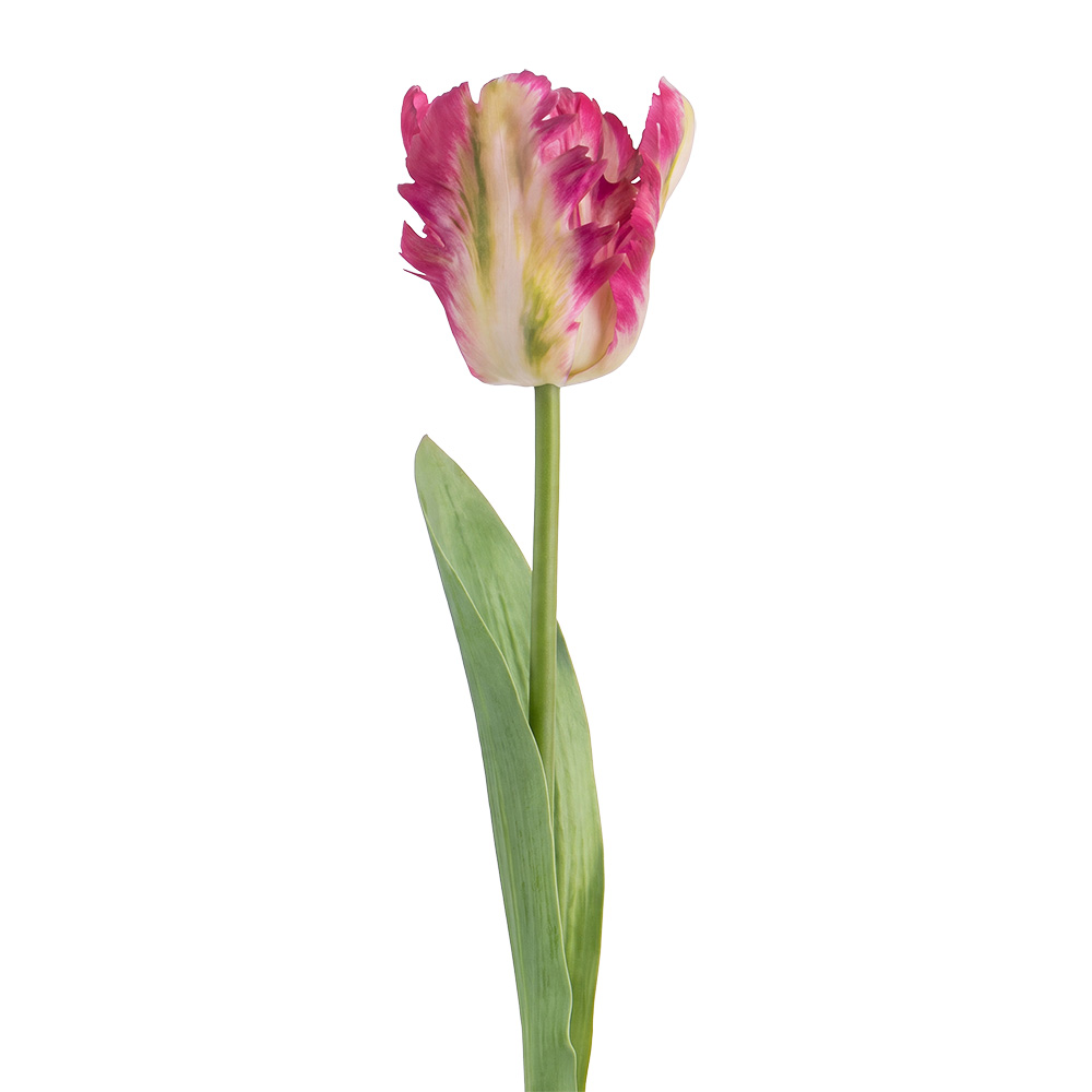 Clayre & Eef | Decoratie tak met bloemen Roze Groen 61 cm | 5PL0385F