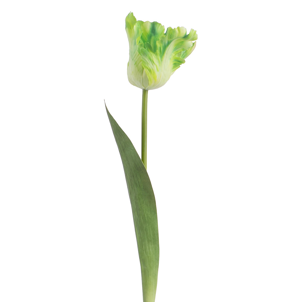 Clayre & Eef | Decoratie tak met bloemen Groen 61 cm | 5PL0385GR