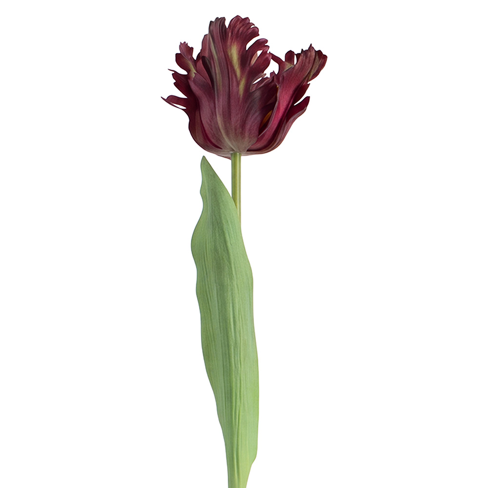 Clayre & Eef | Decoratie tak met bloemen Paars Groen 61 cm | 5PL0385LA