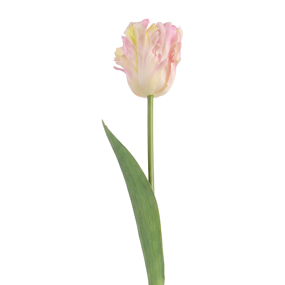 Clayre & Eef | Decoratie tak met bloemen Roze Groen 61 cm | 5PL0385LP