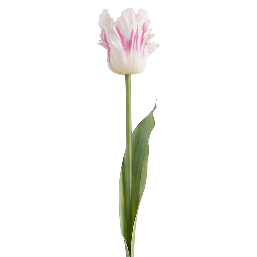 Clayre & Eef | Decoratie tak met bloemen Roze Groen 61 cm | 5PL0385P