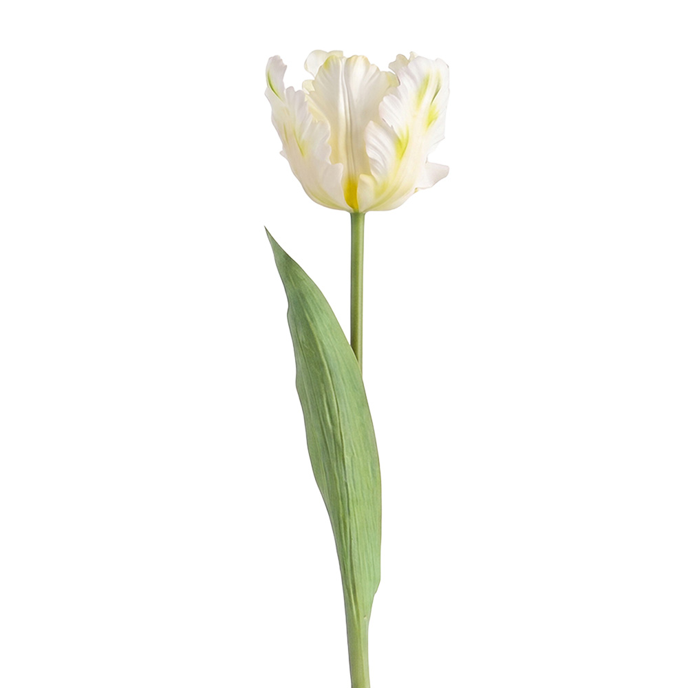 Clayre & Eef | Decoratie tak met bloemen wit Groen 61 cm | 5PL0385W