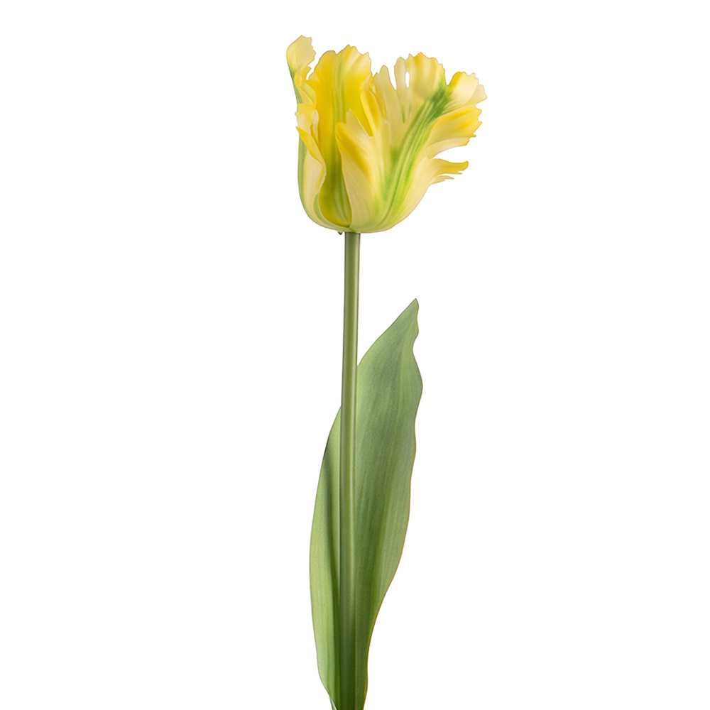 Clayre & Eef | Decoratie tak met bloemen Geel Groen 61 cm | 5PL0385Y