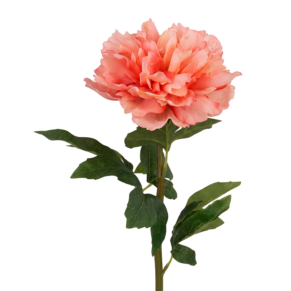 Clayre & Eef | Decoratie tak met bloemen Roze Groen 52 cm | 6PL0441P