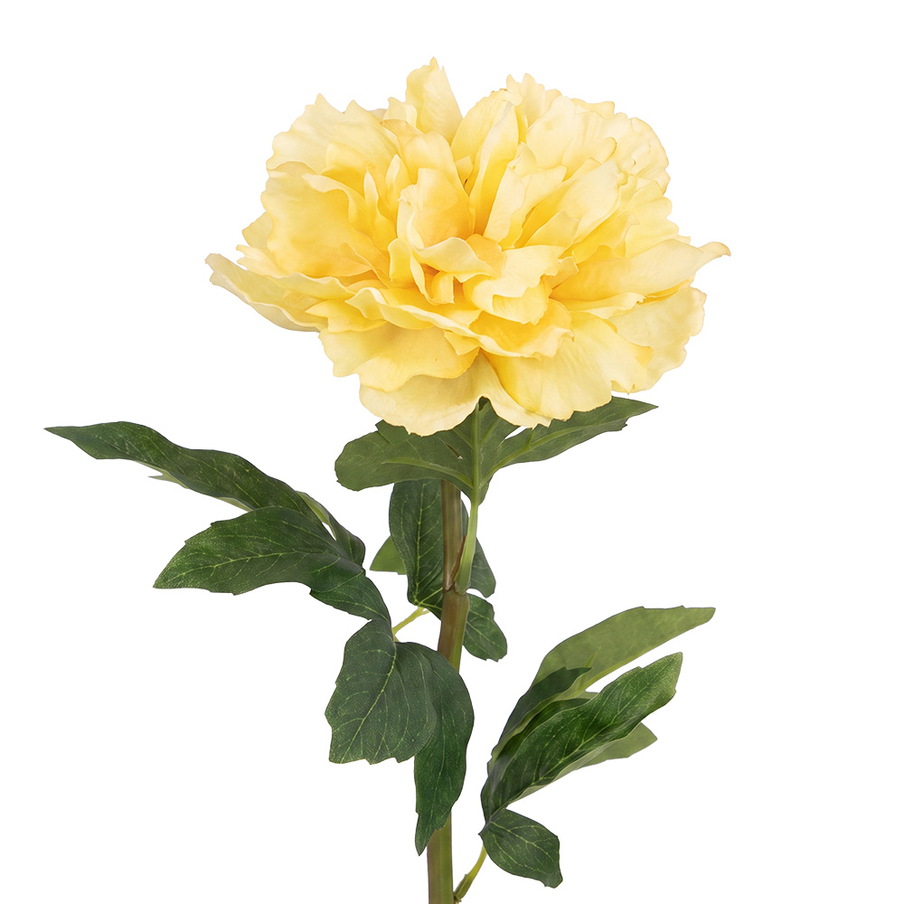 Clayre & Eef | Decoratie tak met bloemen Beige Groen 58 cm | 6PL0443BE