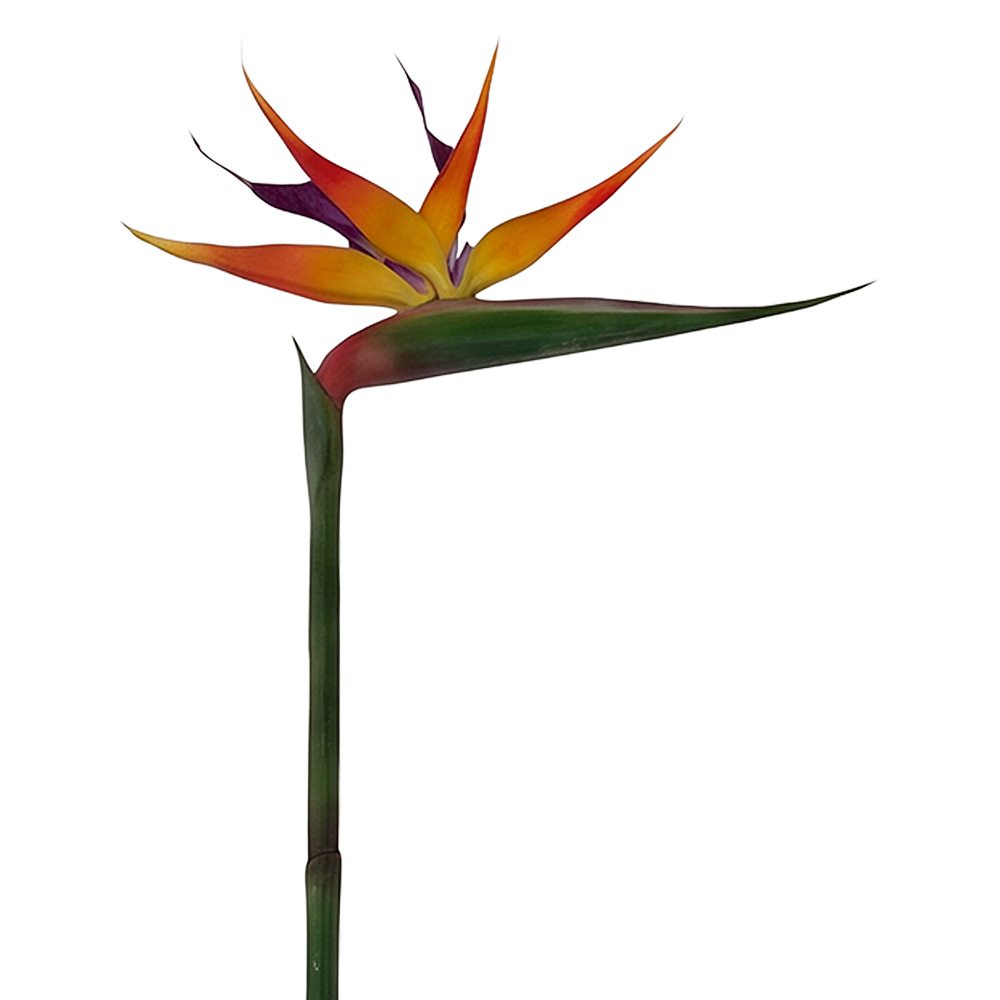 Clayre & Eef | Decoratie tak met bloemen Oranje Groen 100 cm | 5PL0325