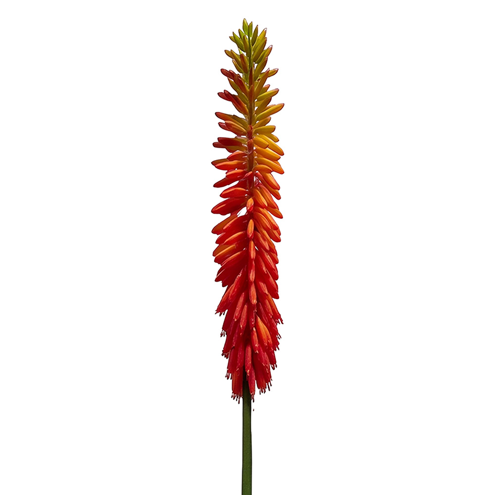 Clayre & Eef | Decoratie tak met bloemen Oranje Groen 86 cm | 5PL0329