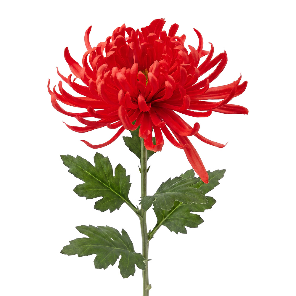 Clayre & Eef | Decoratie tak met bloemen Rood Groen 76 cm | 5PL0335R