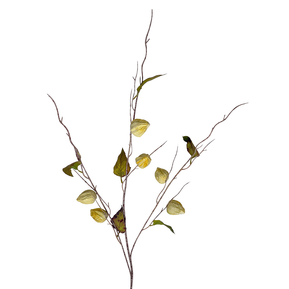 Clayre & Eef | Decoratie tak met bloemen Wit 105 cm | 5PL0286W