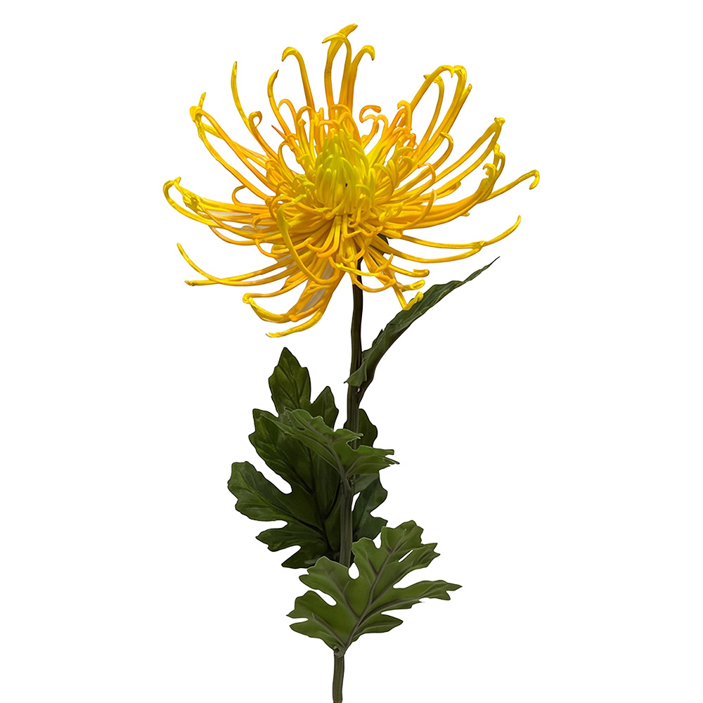 Clayre & Eef | Decoratie tak met bloemen Geel Groen 72 cm | 5PL0334Y