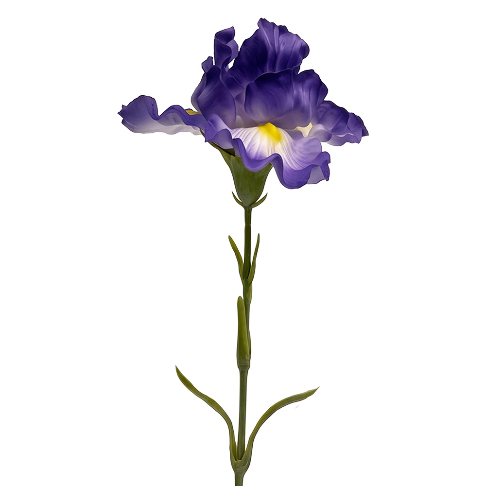 Clayre & Eef | Decoratie tak met bloemen Paars Groen 62 cm | 6PL0436PA