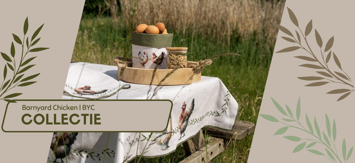 Barnyard-Chicken