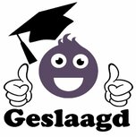 Sticker raam geslaagd smiley paars zwart 30 x 30 cm | Rosami Sticker raam geslaagd smiley paars zwart 30 x 30 cm | Rosami
