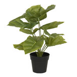 Clayre & Eef | Kunstbloem Groen 30x30x34 cm | 6PL0216