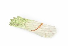 Asperge-schaaltje 28 x 11 cm | AS08 | Piccobella Asperge-schaaltje 28 x 11 cm | AS08 | Piccobella