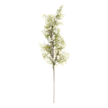 Decoratie tak 70 cm | Groen | 64826 | Clayre & Eef