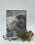 Staand deco bord nostalgisch afbeelding ram sepia 19 x 14 cm mdf | 65514 | Home Sweet Home | Stoer & Sober Woonstijl Staand deco bord nostalgisch afbeelding ram sepia 19 x 14 cm mdf | 65514 | Home Sweet Home | Stoer & Sober Woonstijl
