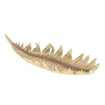 Clayre & Eef | Serveerschaal Veer Goudkleurig 47x21x5 cm | 6PR2445 Clayre & Eef | Serveerschaal Veer Goudkleurig 47x21x5 cm | 6PR2445