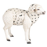 Clayre & Eef | Decoratie Schaap Wit 49x17x45 cm | 6Y3535 Clayre & Eef | Decoratie Schaap Wit 49x17x45 cm | 6Y3535