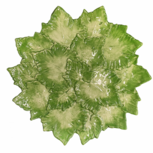 Bord Rome groen blaadjes 30 cm aardewerk | GI05 | Piccobella Italiaans servies Bord Rome groen blaadjes 30 cm aardewerk | GI05 | Piccobella Italiaans servies