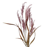 Clayre & Eef | Decoratie tak Paars 5x5x90 cm | 5PL0055