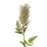 Clayre & Eef | Decoratie tak Groen 5x5x60 cm | 6PL0257