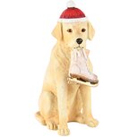 Dekoratief | Hond zittend m/schaatsen, resina, 10x6x15cm | A245172 Dekoratief | Hond zittend m/schaatsen, resina, 10x6x15cm | A245172