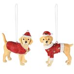 Dekoratief | Hanger hondje m/kersttrui, resina, 7x3x8cm, set van 2 stuks | A245179 Dekoratief | Hanger hondje m/kersttrui, resina, 7x3x8cm, set van 2 stuks | A245179