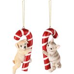 Dekoratief | Hanger hondje/poes m/zuurstok, resina, 6x5x11cm, set van 2 stuks | A245246 Dekoratief | Hanger hondje/poes m/zuurstok, resina, 6x5x11cm, set van 2 stuks | A245246