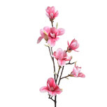 Clayre & Eef | Decoratie tak met bloemen Roze 25x10x97 cm | 5PL0099 Clayre & Eef | Decoratie tak met bloemen Roze 25x10x97 cm | 5PL0099