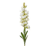 Clayre & Eef | Decoratie tak met bloemen Wit 10x7x95 cm | 5PL0102 Clayre & Eef | Decoratie tak met bloemen Wit 10x7x95 cm | 5PL0102
