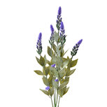 Clayre & Eef | Kunstbloem Lavendel Paars Groen 10x6x62 cm | 6PL0290 Clayre & Eef | Kunstbloem Lavendel Paars Groen 10x6x62 cm | 6PL0290