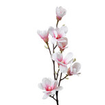 Clayre & Eef | Decoratie tak met bloemen Wit Roze 25x10x97 cm | 5PL0098 Clayre & Eef | Decoratie tak met bloemen Wit Roze 25x10x97 cm | 5PL0098